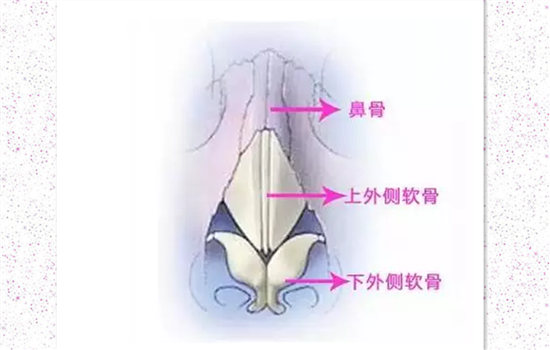 膨体隆鼻能做猪鼻子吗 应该根据鼻整形方式和材料来看