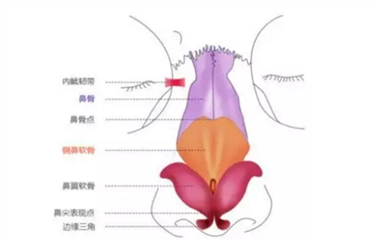 膨体隆鼻能做猪鼻子吗 应该根据鼻整形方式和材料来看