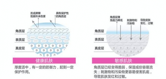 皮肤保养的基本步骤 学好皮肤管理变女神