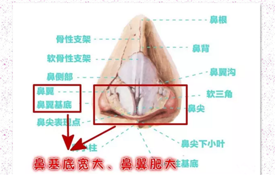 鼻翼缩小痛吗 术前多与医生交流可减轻疼痛