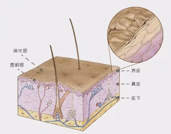 神仙水的功效   SK-II神仙水限量版冲着包装也必须买