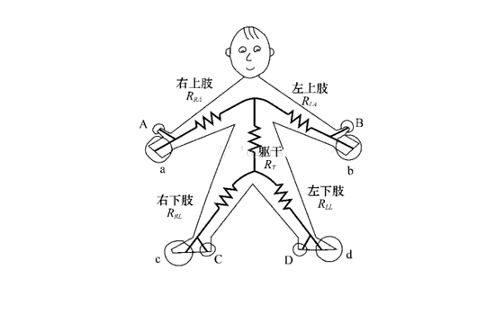 智能体重秤原理 BIA生物电阻抗测量法准确吗