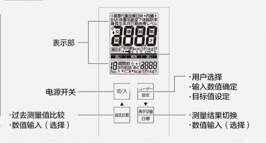 松下体重秤怎么使用 超级智能体重秤超方便