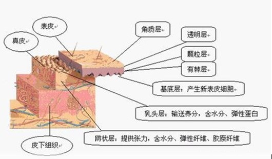 用护肤品要成套使用吗 关于护肤品常见使用问题分析