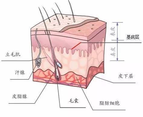 面膜的正确使用方法 面膜这样敷才最好！