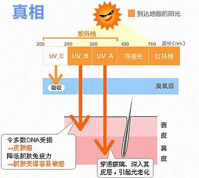 冬天需要防晒吗 冬季不防晒，你是想变老巫婆吗？