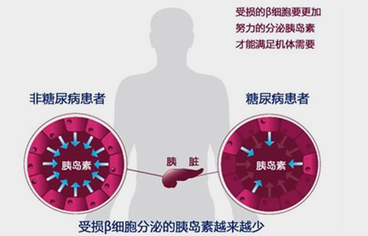 晚餐什么时间吃最好 关于晚餐常见问题的介绍