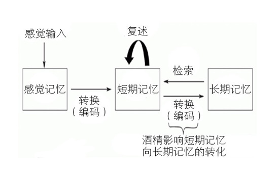 喝酒为什么会断片 断片儿不等于酒后失态