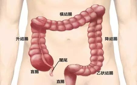 肠梗阻的症状及治疗 这些症状可能是肠梗阻要小心