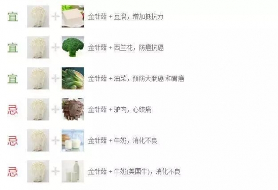 金针菇的功效与作用 金针菇的食用价值及做法介绍