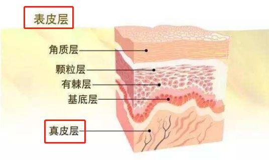 好用的清洁面膜推荐 这10款比精华都好用