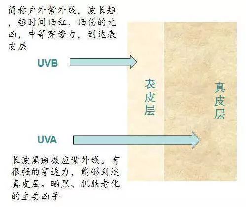 防晒产品哪款好用 春天的防晒同样重要