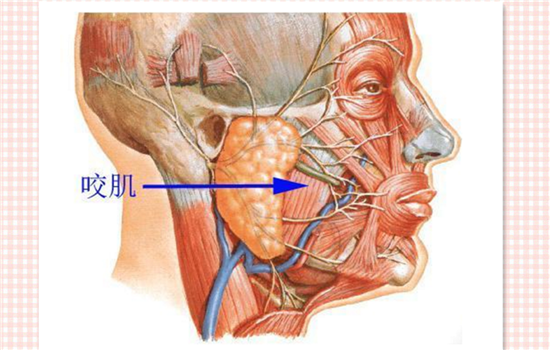 瘦脸针老了有什么影响 肉毒素瘦脸的7大副作用不得不看