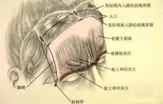 抬头纹去皱方法 女神都用这5种办法拯救抬头纹