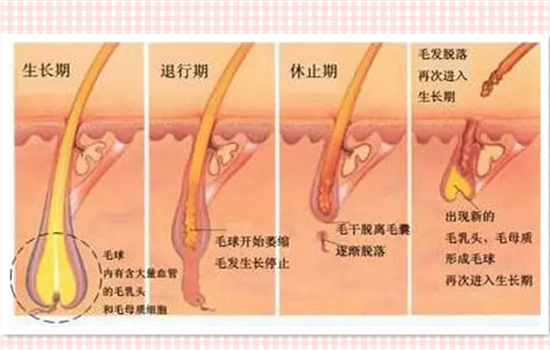 超冰脱毛多少钱一台 解密正规超冰脱毛的过程