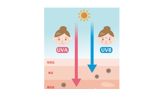 防晒霜spf和pa是什么意思 SPF和PA怎么选择好