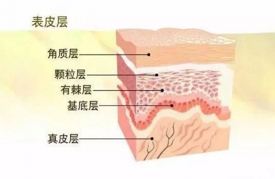 不涂防晒霜的危害 不涂防晒可不要后悔