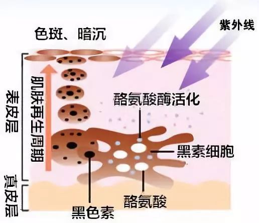 不涂防晒霜的危害 不涂防晒可不要后悔