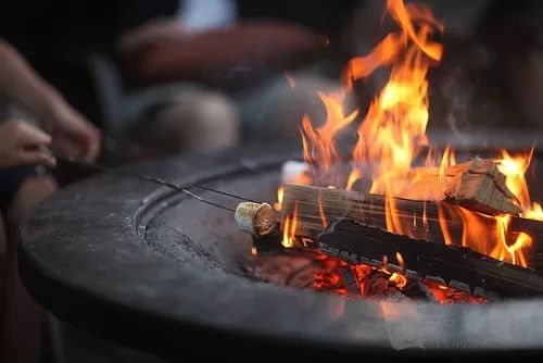 玫瑰果油的功效与作用 听说这这种油对油痘肌也很友好