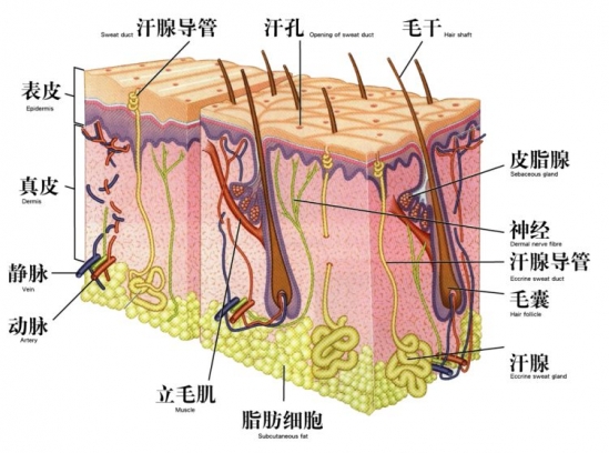 女生什么发型好看 这些发型雷区你中招了吗