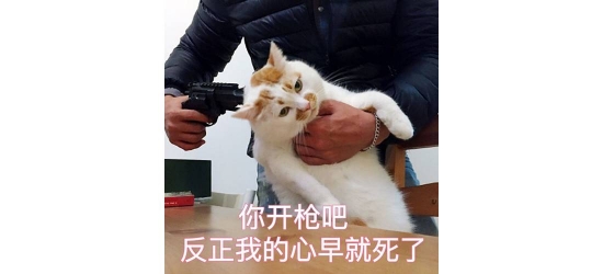 欧莱雅什么值得买