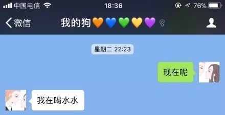 男女朋友聊天记录图片