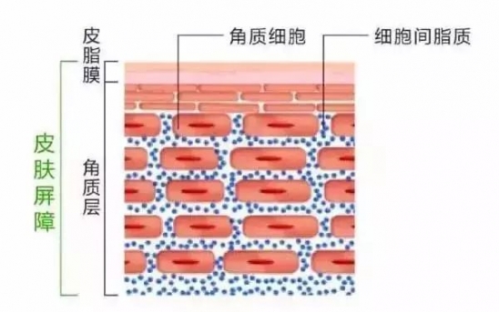 化妆水能保湿吗