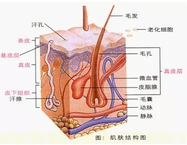 面膜的正确使用方法