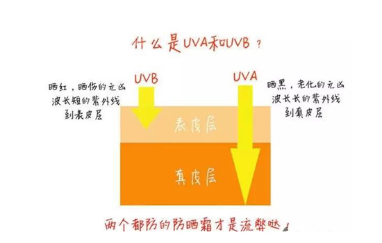 防晒霜spf和pa是什么意思