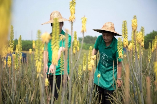 夏季护肤推荐