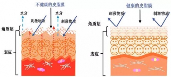 洗脸的错误方法有哪些 洗脸错误方法有哪些