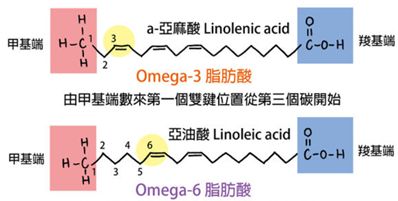 玫瑰果油的功效与作用