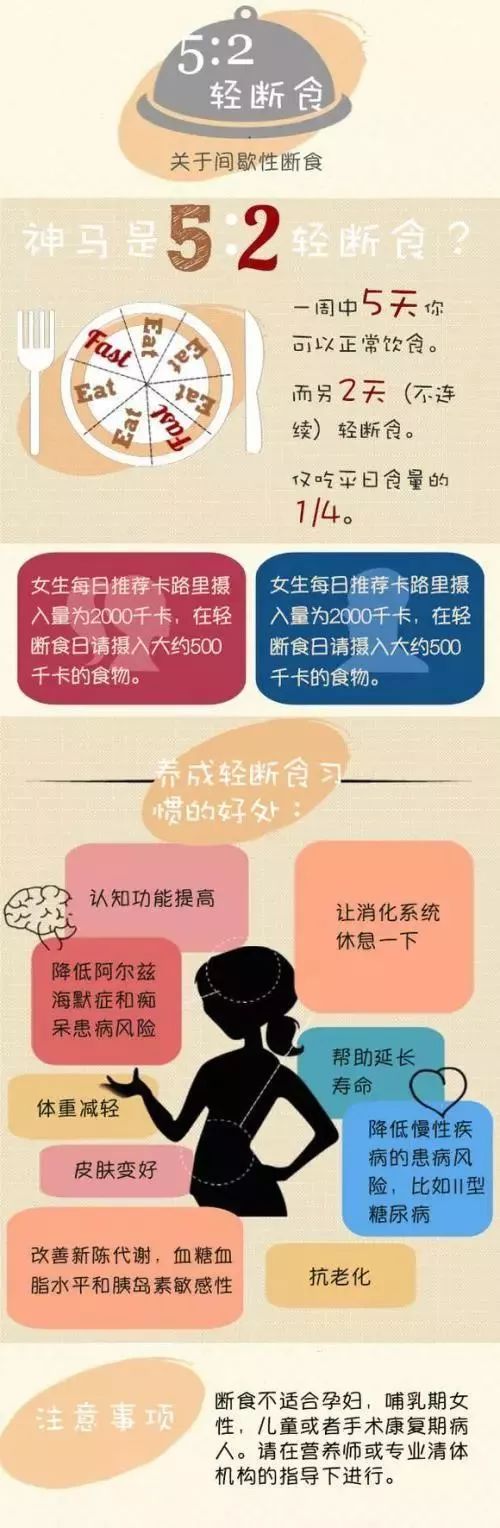 轻断食是什么意思