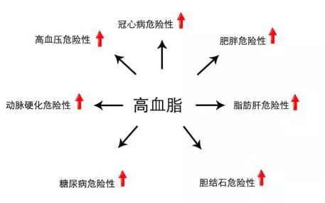 高血脂的危害有哪些