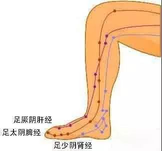 踮脚尖的好处