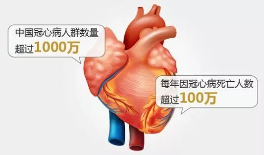 肥胖会带来什么危害