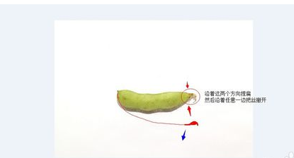 快速剥毛豆的方法 剥毛豆技巧最快方法