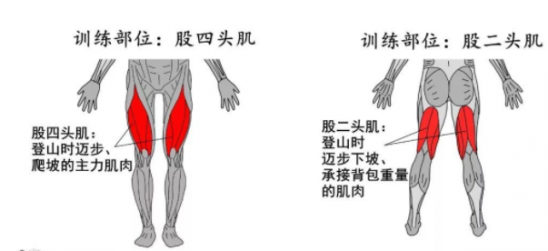 爬山为啥会腿抖 爬山腿抖是怎么回事