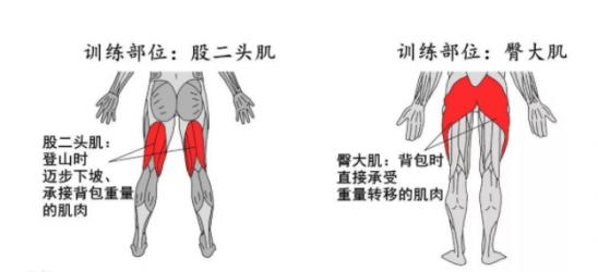 爬山为啥会腿抖 爬山腿抖是怎么回事