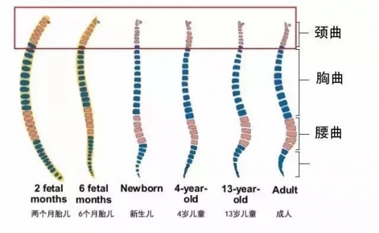 宝宝睡觉要用枕头吗