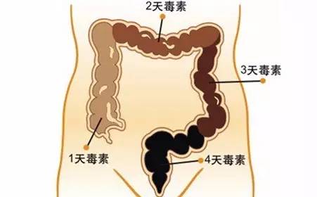 小儿积食的危害