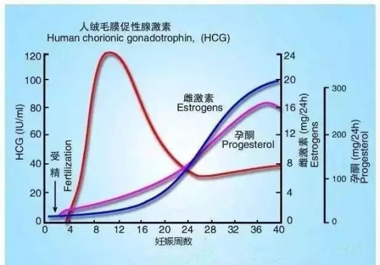 孕中期烧心怎么缓解 孕中期反酸烧心怎么办