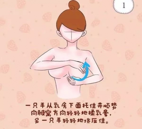 母乳喂养 乳房下垂 母乳喂养会胸下垂吗