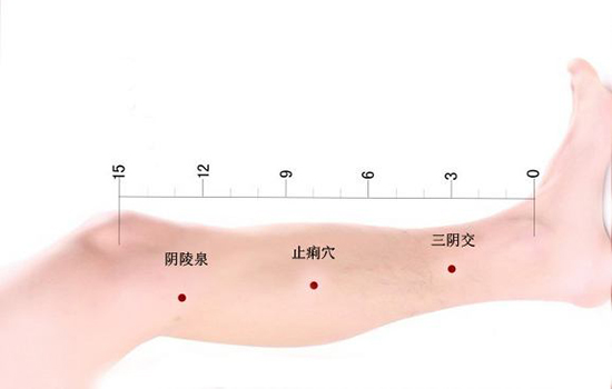 小儿痢疾推拿 小儿推拿痢疾怎么治疗