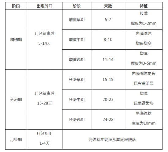 子宫内膜厚度多少正常 子宫内膜多厚正常