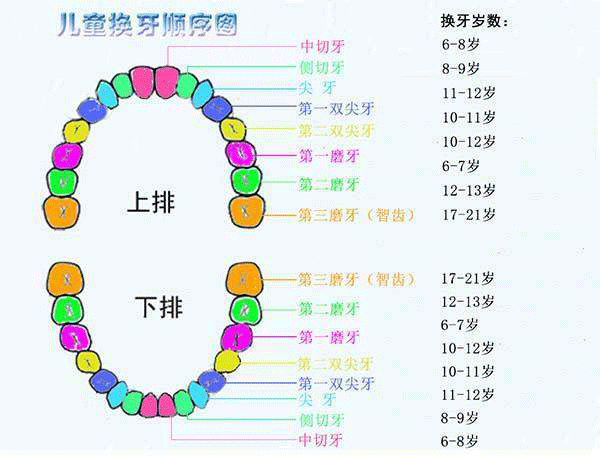 宝宝换牙后长出锯齿状 宝宝换牙长出来是锯齿