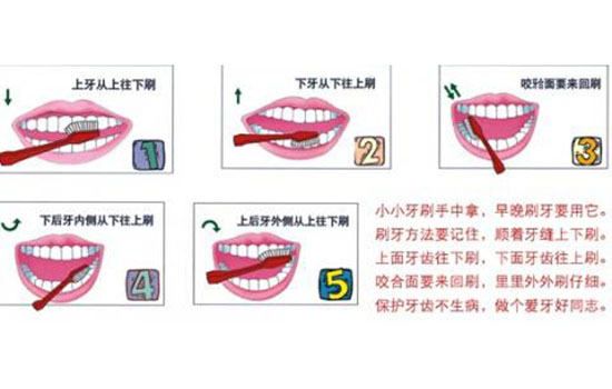 宝宝换牙顺序图 儿童换牙齿顺序图