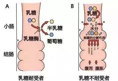 冬季宝宝腹泻怎么办 冬季引起宝宝腹泻的原因及解决方法