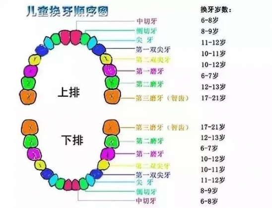 小孩乳牙掉了怎么处理 小孩乳牙掉了怎么保存