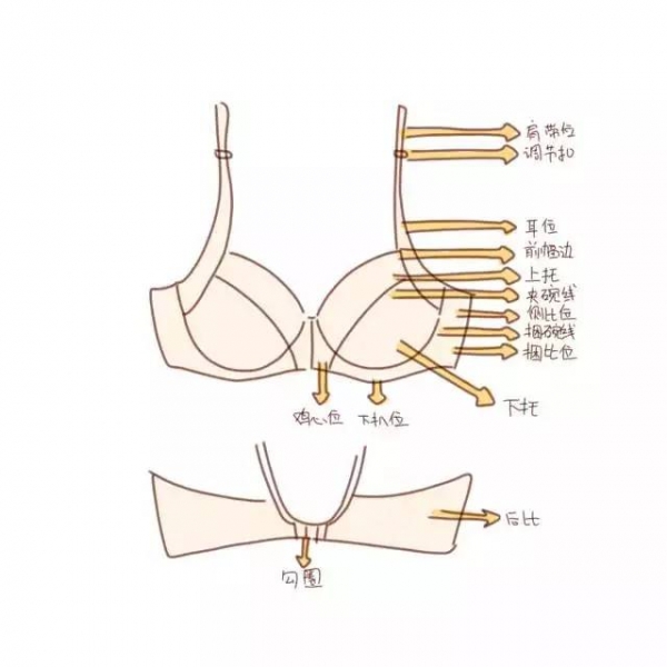 内衣怎么选